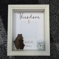 Birth Announcement Frame